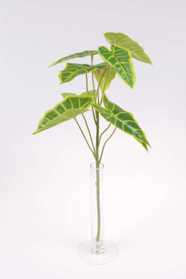 imagine produs Buchet verdeata X9 TIP6