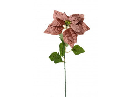 imagine produs Poisentia 70cm