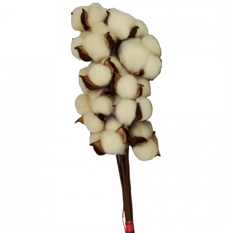 imagine produs Creanga flori de bumbac 33cm S/10 crem