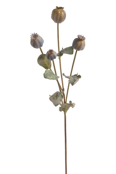 imagine produs Creanga mac x4 h60cm