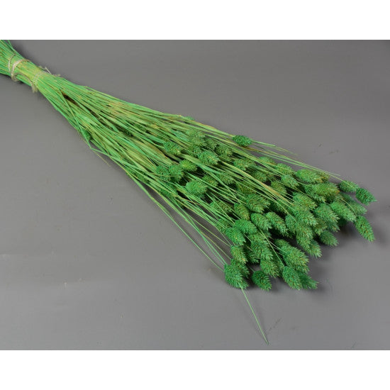 Tallaris 100g inalbit aqua