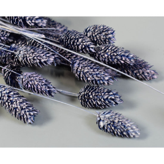 Tallaris 100gr brumat albastru