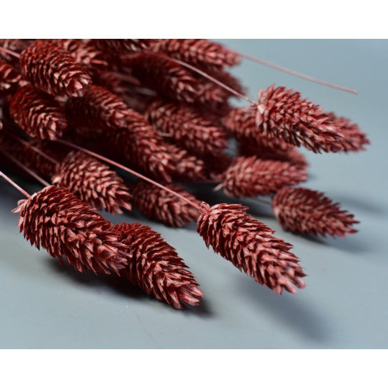 Tallaris 100gr brumat rosu