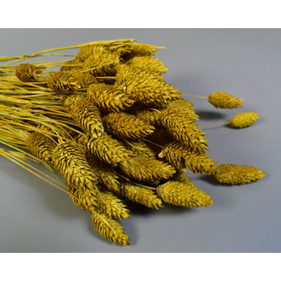Tallaris 100g brumat galben
