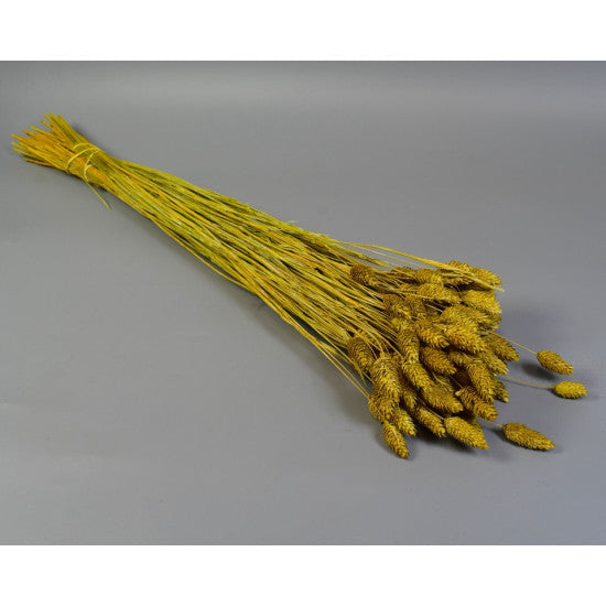 Tallaris 100g brumat galben