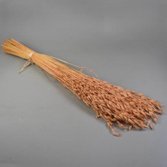Ovaz 150g inalbit piersica