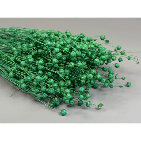 In 100g inalbit turcoaz