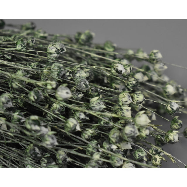 In 100gr brumat verde inchis