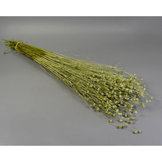 In 100gr brumat verde deschis