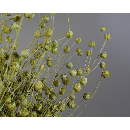 In 100gr brumat verde deschis