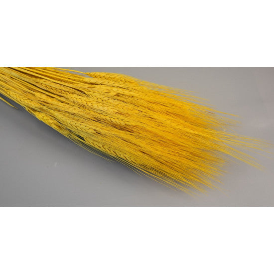 Grau cu spic lung 150g inalbit galben