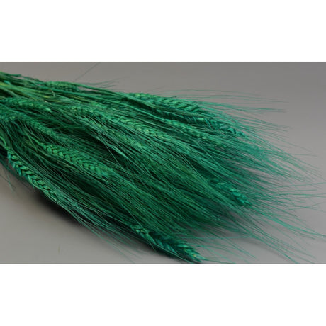 Grau cu spic lung 150g inalbit turcoaz