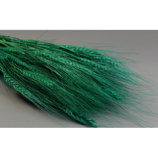Grau cu spic lung 150g inalbit turcoaz