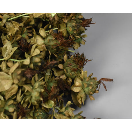Safran 150g verde închis