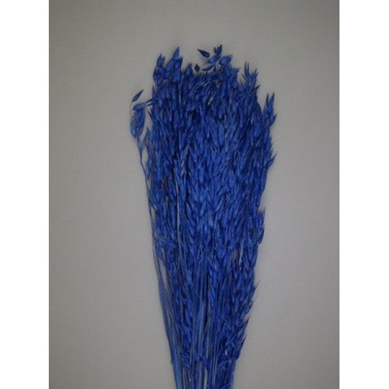 Ovaz 150gr inalbit albastru