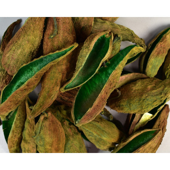 Tutun salbatic verde inchis