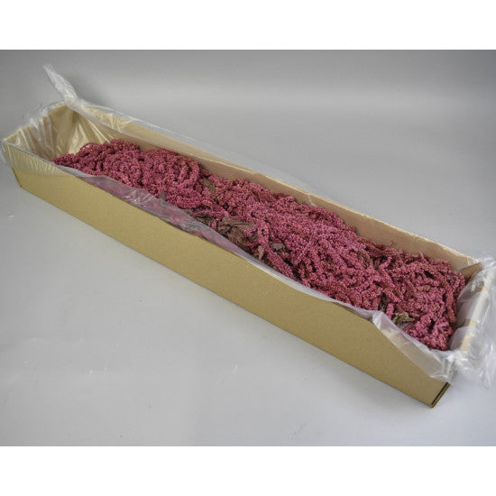 Amaranthus caudatus preparat roz 2x0,2kg
