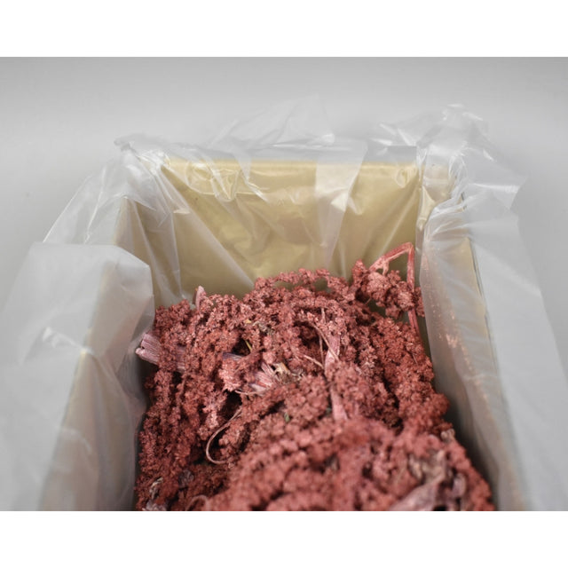 Amaranthus caudatus preparat brumat rosu 2x0,2kg