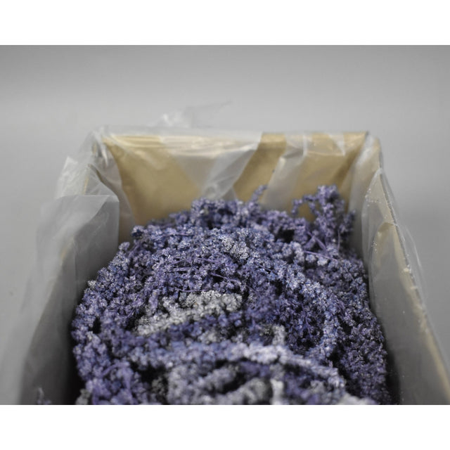 Amaranthus caudatus preparat brumat albastru 2x0,2kg