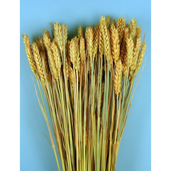 Grau fara arifte 150gr inalbit piersica