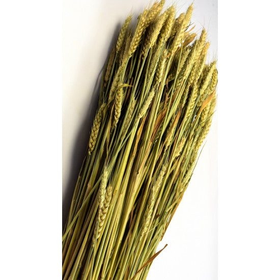 Grau fara arifte 500gr natur