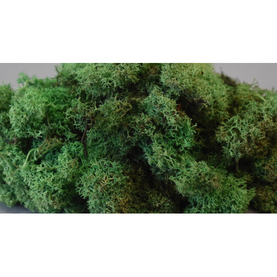Muschi islanda 300gr verde deschis