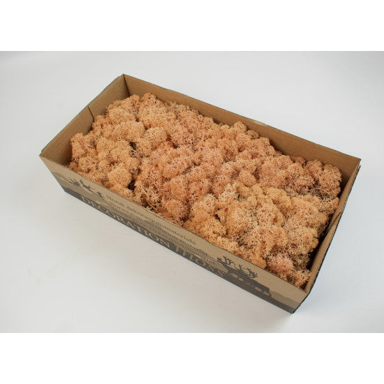 Muschi Islanda 500gr piersica