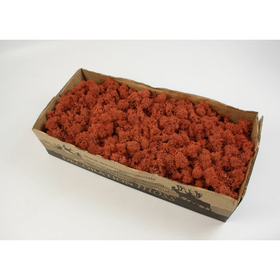 Muschi islanda 500gr maro