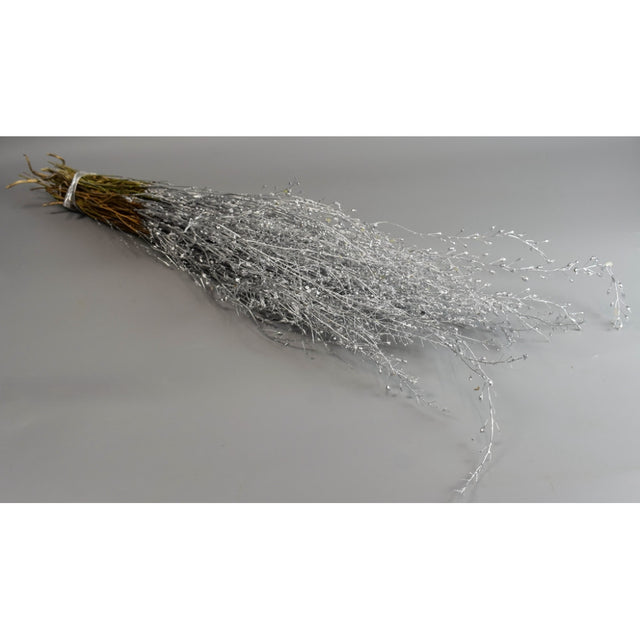 Lepidium atraxa 100gr argintiu