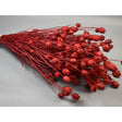 imagine produs Nigella damascena 100gr rosu