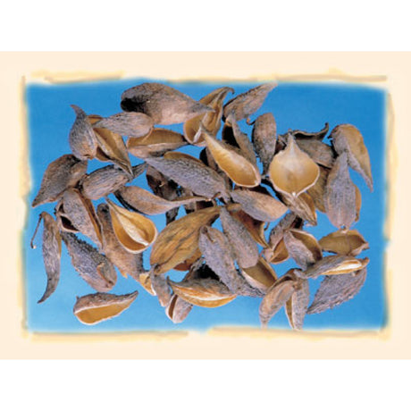 imagine produs Tutun salbatic natur