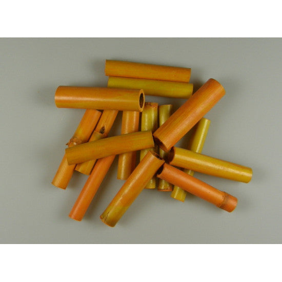 Cozi de floarea soarelui portocaliu