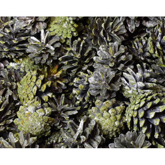 Conuri trandafiri 1kg verde deschis cu chiciura