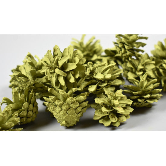 Conuri de pin vopsit verde oliv