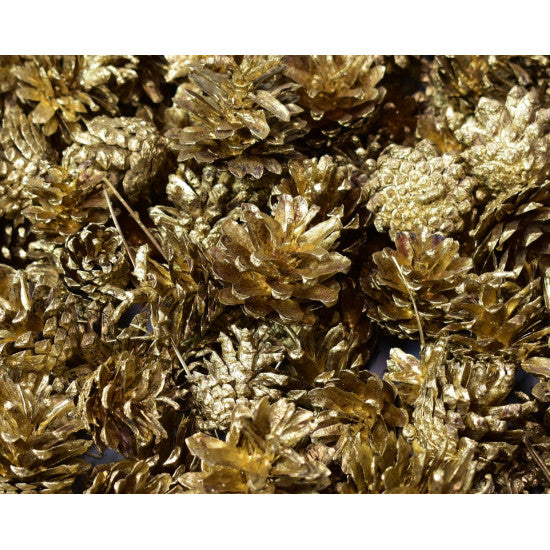 Conuri trandafiri 1kg auriu