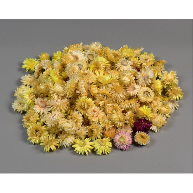 Capete flori de paie natur crem