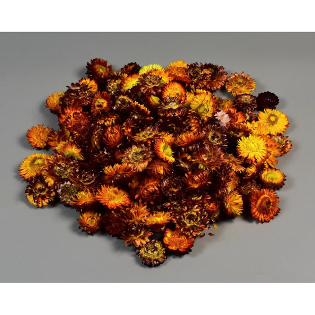 Capete flori de paie natur portocaliu