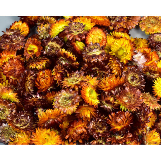Capete flori de paie natur portocaliu