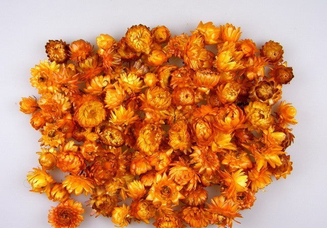 imagine produs Capete flori de paie natur portocaliu