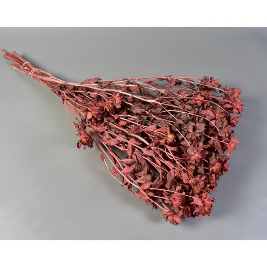 Sofran 150gr roz