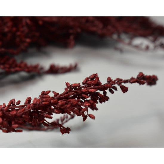 Solidago preparat rosu