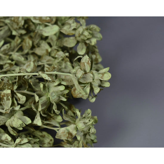 Sofran 150gr vopsit verde deschis