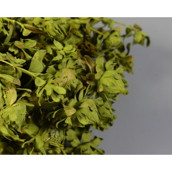 Sofran 150gr vopsit verde oliv