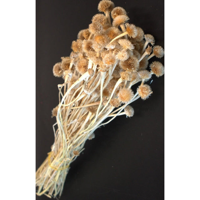 imagine produs Floare de nasture 60gr inalbit