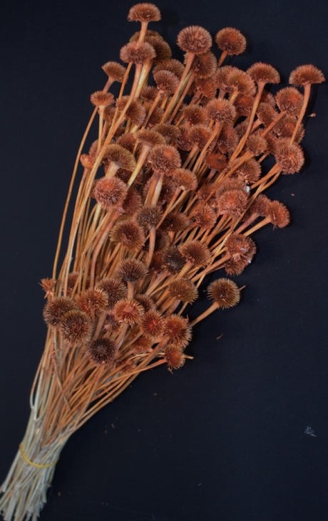 imagine produs Floare de nasture 60gr portocaliu