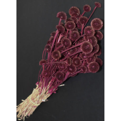 imagine produs Floare de nasture 60gr bordeaux