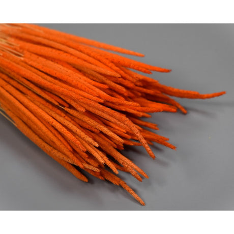 Phleum 80gr orange