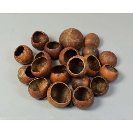 Bell cup mini natur
