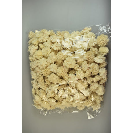 Capete ochiul boului ming 4cm 250buc