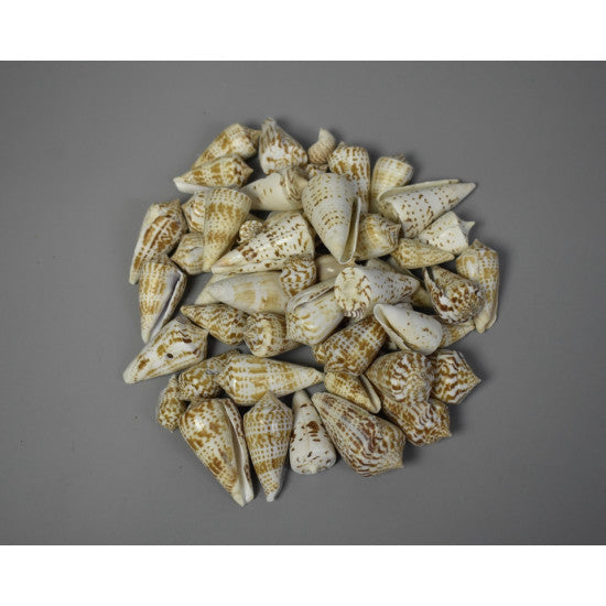Scoici vaalaipoo-kupcsiga 0.5kg natur